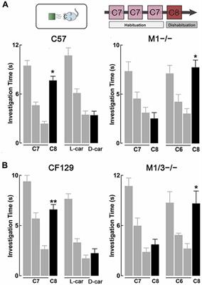 Mice Lacking M1 and M3 Muscarinic Acetylcholine Receptors Have Impaired Odor Discrimination and Learning